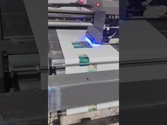 Imprimante UV à échelle de gris