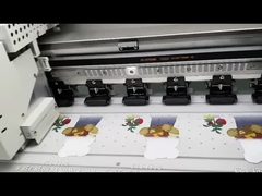 Imprimante de T-shirt DTF avec mode de vitesse de 4m2/h et logiciel de décapage de photoprint en option