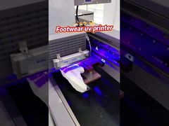 AC 220V / 50Hz / 60HZ alimentation par une imprimante UV à passage unique avec buse Ricoh Gen 5i